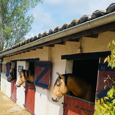 펜션 Elevage De La Terrasserie Escoutoux